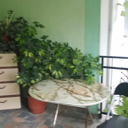 בית אירוח House Leskovik